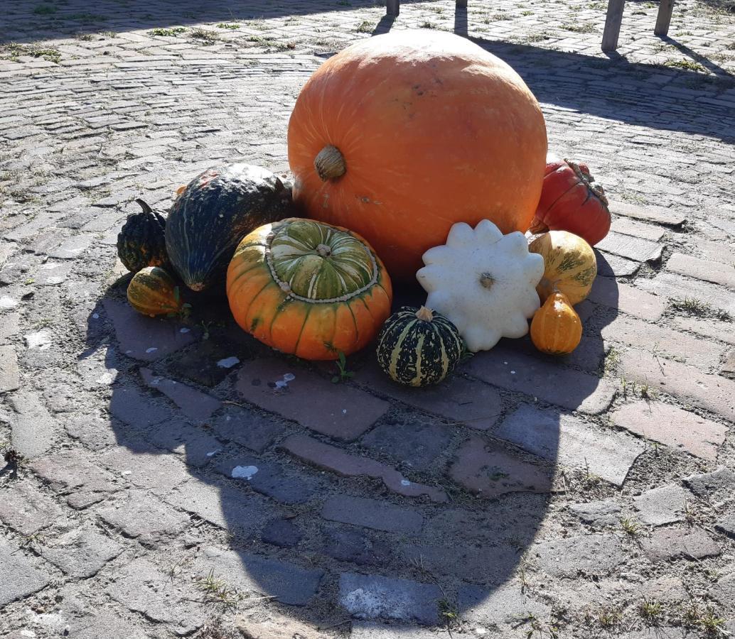 ワーゲンベルグBij De Vlaamse Schuurアパートメント エクステリア 写真